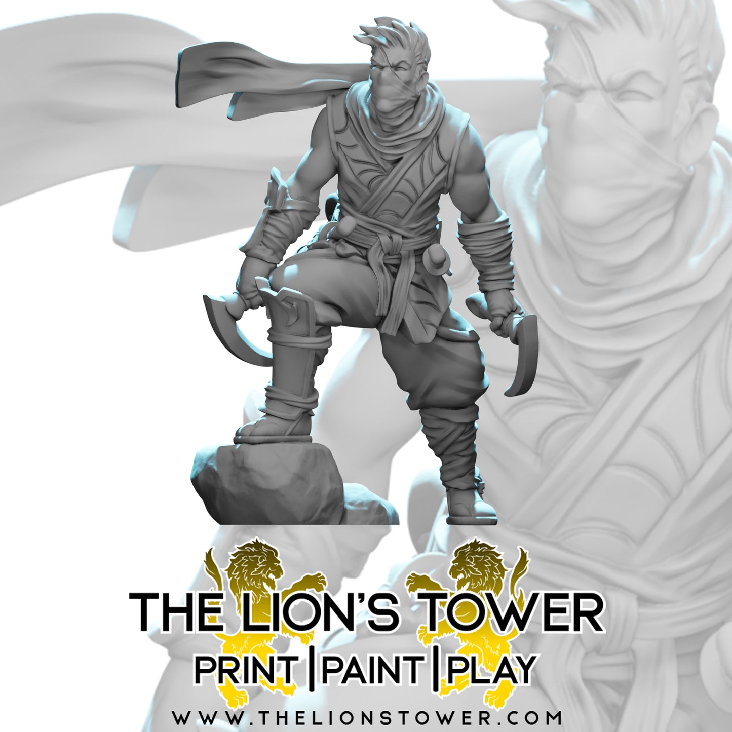 Kingdom of Talarius - Kotaro the Assassin