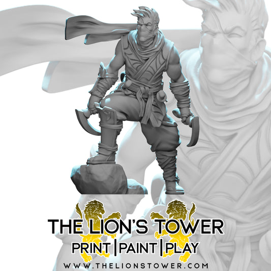 Kingdom of Talarius - Kotaro the Assassin