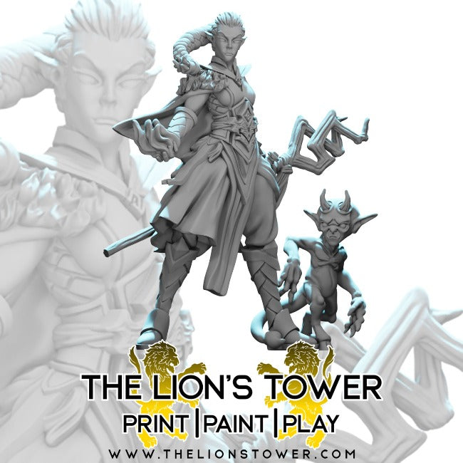 A greyscale render with a light blue backlight depicting Alenor the Elven Sorceress and her Familiar, Griblett the Imp..  The Lion's Tower logo is depicted at the front centre of the image.